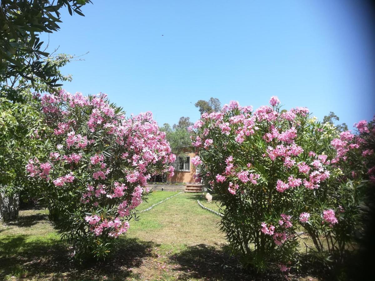 Villa Olia 토르톨리 외부 사진